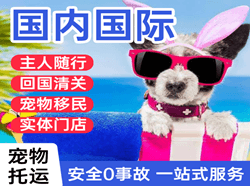 鞍山空运公司国际宠物托运 【国